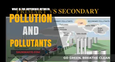 Understanding Pollution: Core Differences Simplified