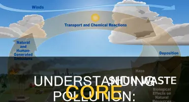 what is the difference between pollution and pollutants