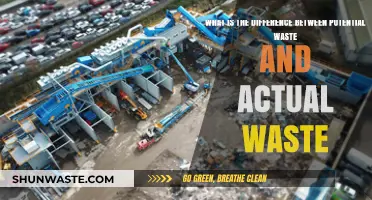 Potential vs. Actual Waste: Understanding the Key Differences