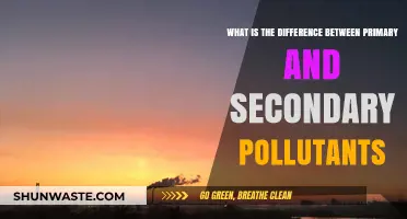 Understanding Primary and Secondary Pollutants: Key Differences
