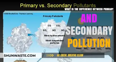 Primary vs Secondary Pollution: What's the Difference?