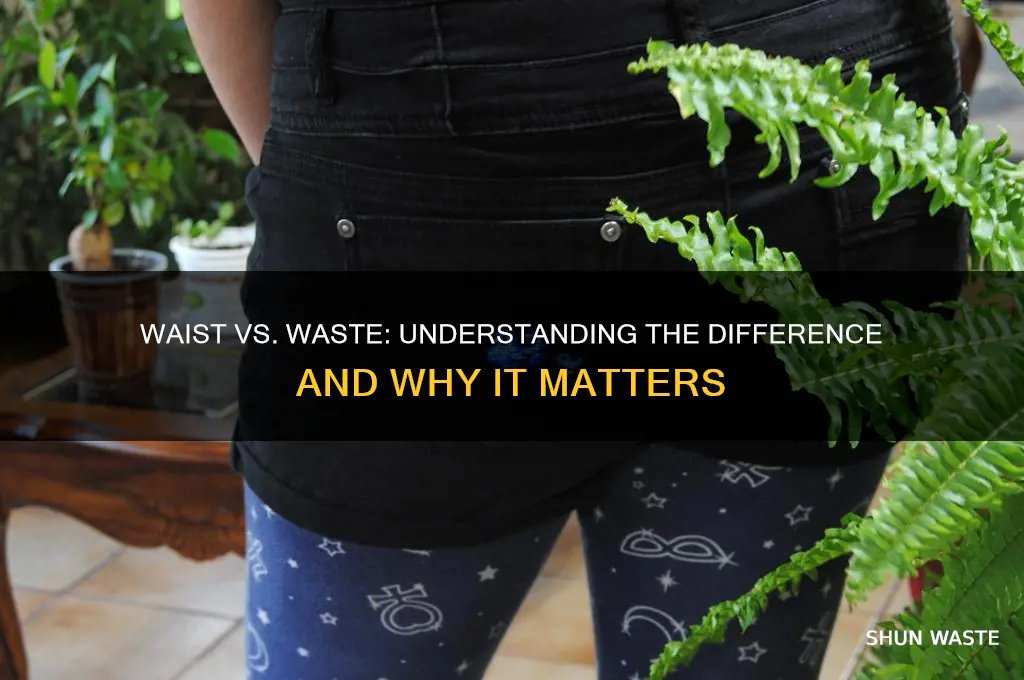 what is the difference between waist and waste