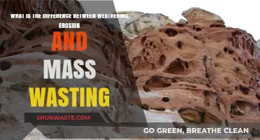Weathering, Erosion, and Mass Wasting: Understanding Earth's Surface Processes