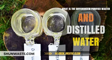Purified vs. Distilled Water: Understanding the Key Differences and Uses