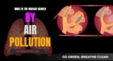 Air Pollution: The Silent Killer Revealed