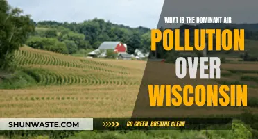Wisconsin's Air Pollution: Understanding the Dominant Issue