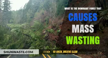 Gravity's Role: The Dominant Force Behind Mass Wasting Explained