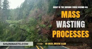 Gravity's Role: The Driving Force Behind Mass Wasting Processes