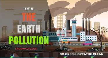The Earth's Pollution: A Global Crisis