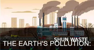 what is the earth pollution