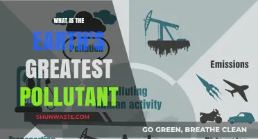 Humanity's Impact: Earth's Greatest Pollutant?