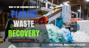 Unlocking Economic Gains Through Plastic Waste Recovery and Recycling