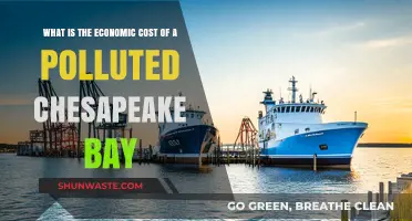 The Chesapeake Bay: Economic Impact of Pollution