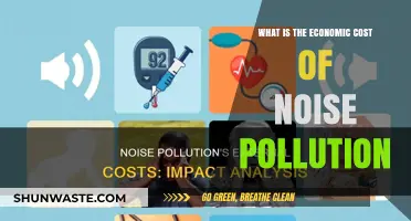 Noise Pollution: The Costly Side of Sound