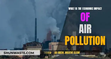 Air Pollution: Economic Costs and Health Impacts