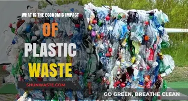 Plastic Waste Crisis: Unraveling Its Devastating Economic Consequences