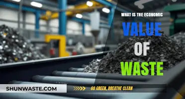 Unlocking Hidden Wealth: The Economic Value of Waste Explained