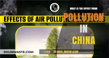 China's Pollution Crisis: Impact and Consequences