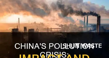 what is the effect from pollution in china