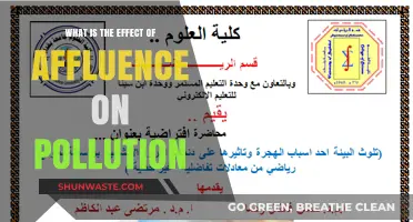 Wealth and Pollution: Exploring the Link