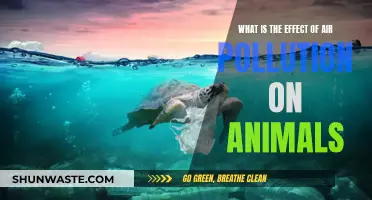 Air Pollution: Harming Animals, Damaging Nature