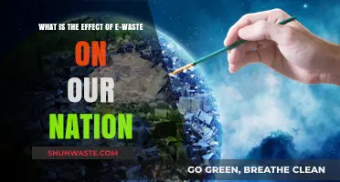 E-Waste Crisis: Impact on Our Nation's Environment and Economy