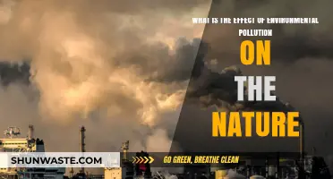 Nature's Bane: Pollution's Impact Explored