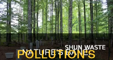 what is the effect of environmental pollution on the nature