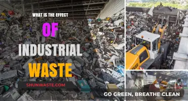 Industrial Waste's Devastating Impact on Environment, Health, and Ecosystems