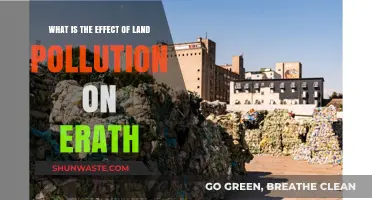 Land Pollution: Impacting Earth's Health and Future