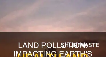 what is the effect of land pollution on erath