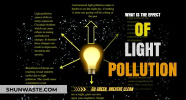 Light Pollution: Its Impact and Our Future