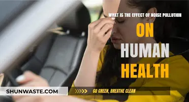 Noise Pollution: Harmful Effects on Human Health