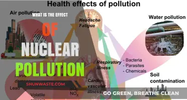 Nuclear Pollution: Understanding Its Devastating Impact