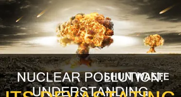what is the effect of nuclear pollution