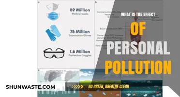 Personal Pollution: Impacting Our Health and Environment