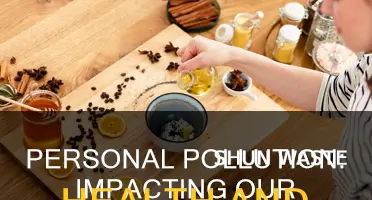 what is the effect of personal pollution