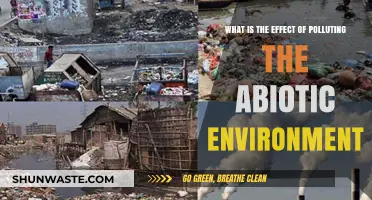 Abiotic Pollution: Understanding its Impact on Our World