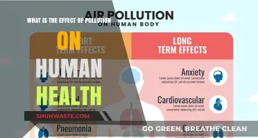 Pollution's Impact: Human Health at Risk
