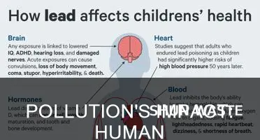what is the effect of pollution on human health