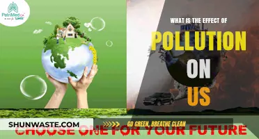 Pollution's Impact: Understanding the Devastating Effects on Humans