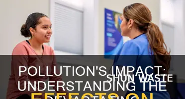 what is the effect of pollution on us