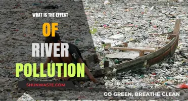 River Pollution: Understanding the Devastating Impact