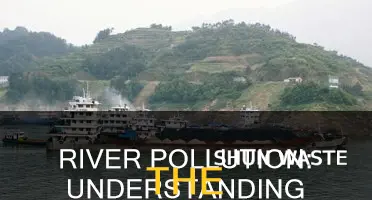what is the effect of river pollution