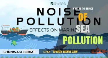 The Impact of Sea Pollution: A Worrying Reality