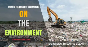 Solid Waste's Environmental Impact: Pollution, Health Risks, and Ecosystem Destruction