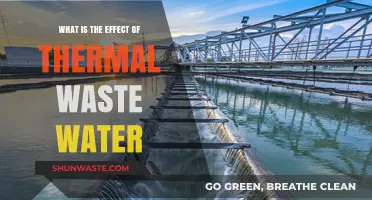 Thermal Wastewater Impact: Environmental Consequences and Ecosystem Disruption Explained