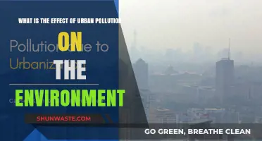 Urban Pollution: Impacting Our Environment and Health