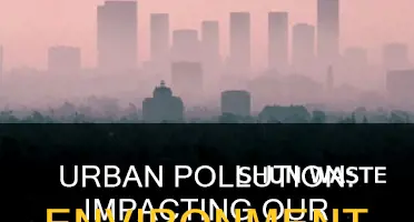 what is the effect of urban pollution on the environment