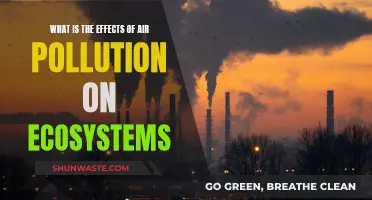 Air Pollution: Damaging Our Ecosystem's Health